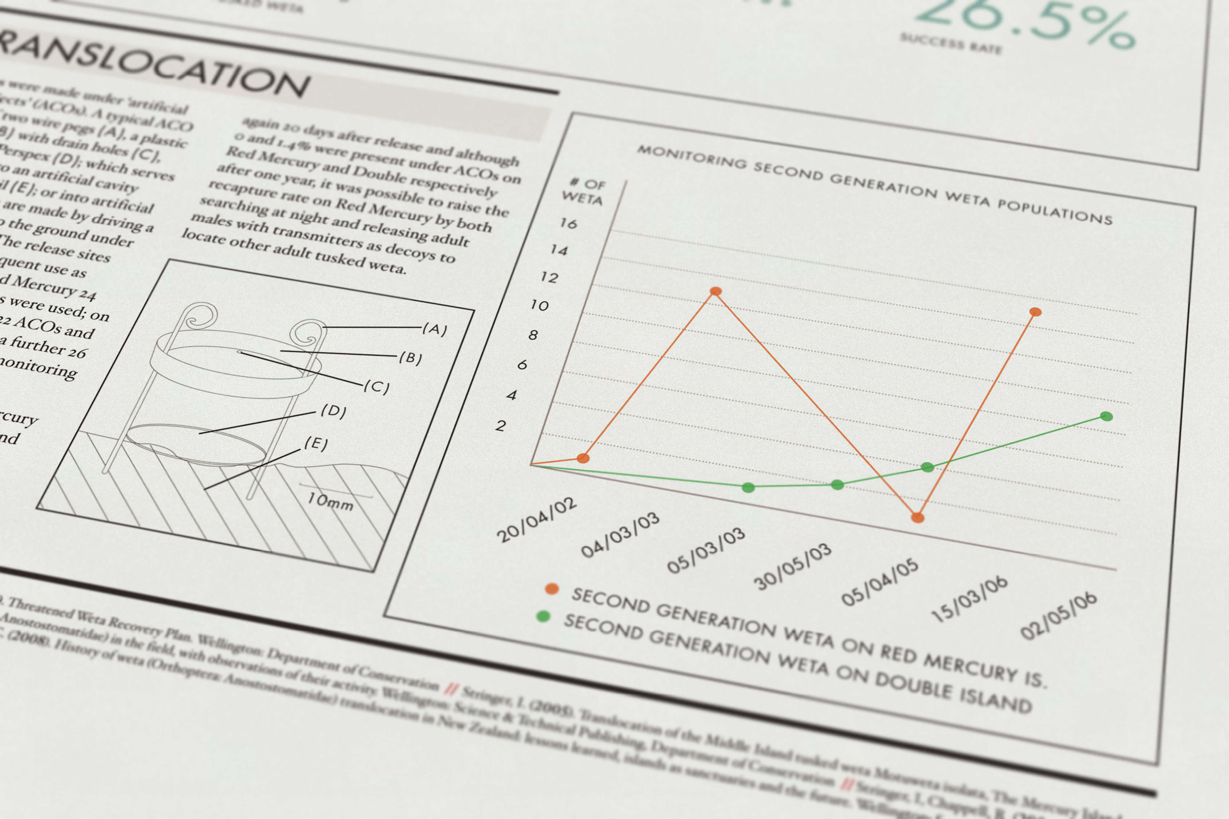 Threatened Native Species of New Zealand – Mercury Island Tusked Weta.
